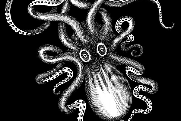 Настоящий сайт kraken