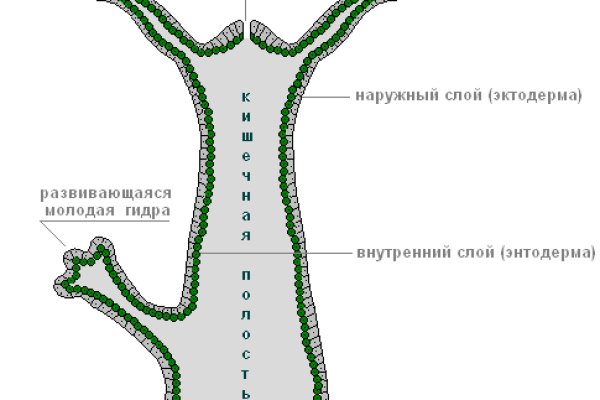 Найдется все kraken 2krn cc что это