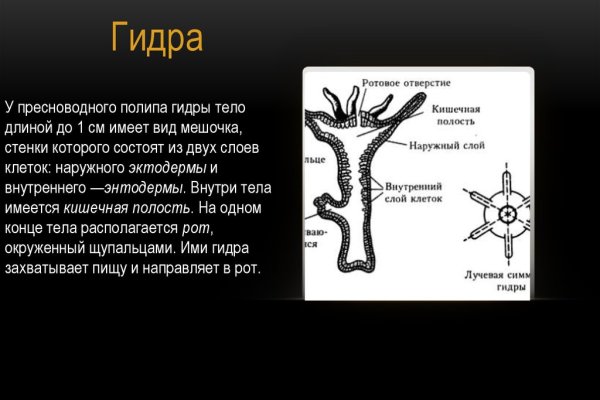 Забыл пароль от кракен