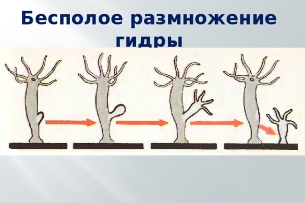 Регистрация на сайте кракен