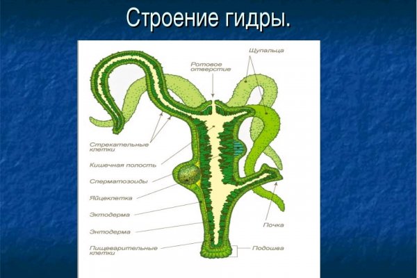 Кракен зайти зеркало