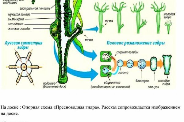 Кракен торговая площадка