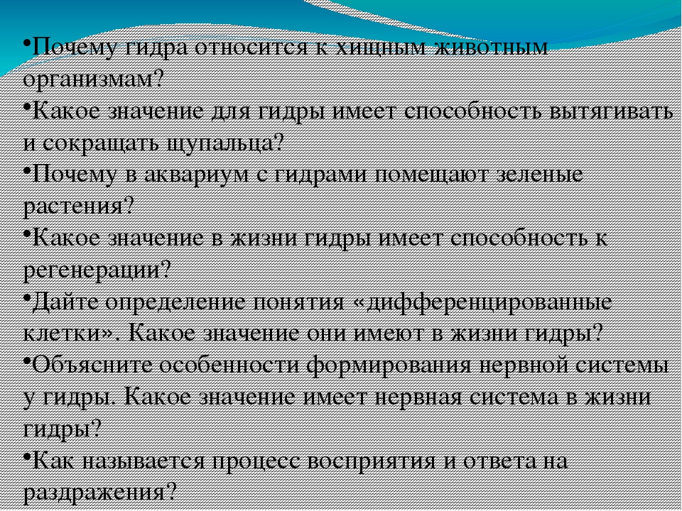 Как найти kraken